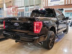 فۆرد F-150